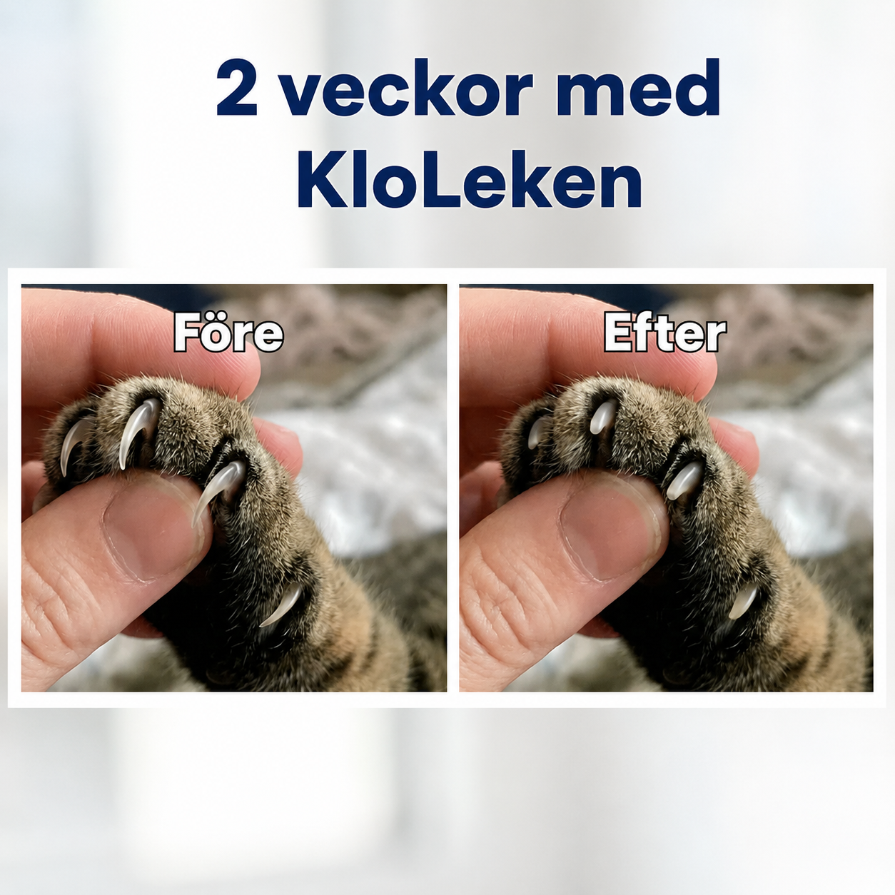 KloLeken™ – Leksaken som hjälper katten fila klorna naturligt