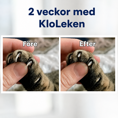 KloLeken™ – Leksaken som hjälper katten fila klorna naturligt